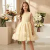 Nuevo vestido para niña estilo europeo y americano con falda de tul de malla de encaje y cuello de lazo, estilo princesa, suministro directo del fabricante, en stock