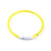 Coleira luminosa para pet Coleira de PVC para pet Recarregável por USB Abertura noturna para cachorro Coleira LED Caminhada segura para cachorro