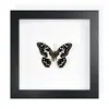 Mariposa Real, Especie Preciosa de Verano, Mariposa Rara, Mariposa Pequeña de Cinta Verde, Adorno de Escritorio, Espécimen de Regalo, Pintura Decorativa, Espécimen de Mariposa