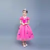 2024 Vestido de Manga Corta de Cenicienta para Niñas Halloween Verano Frozen Elsa Vestido Infantil Vestido de Princesa
