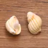 Variedad de Estrellas de Mar Artificiales Acrílicas, Conchas Marinas, Serie Marina para Pulseras, Colgantes, Aretes, Accesorios de Joyería DIY