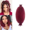 Peluca de trenza de ganchillo africano para cabello, desgarro manual, oruga, 12 pulgadas, Afro Rizado, Trenza Marley