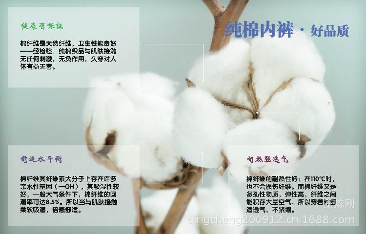 T2zZcGXo4aXXXXXXXX_!!175989442