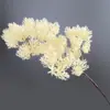 Galhos Artificiais de Pinheiro, Agulhas de Pinheiro, Cipreste Falso, Belos Galhos de Pinheiro, Folhas de Pinheiro, Pinheiro Negro, Galhos de Tuia, Planta de Boas-Vindas
