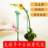 Suporte de Haste para Planta Suculenta Phalaenopsis, Suporte para Moldar Flores, Estrutura de Proteção Fixa Anti-Queda para Folhas