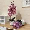 Gran Adorno de Bonsái de Orquídea Phalaenopsis de 6 Flores Decoración Artificial de Flores para el Hogar Accesorio para Fotografía de Bodas Planta Artificial de Flores