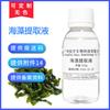 Venta al por mayor de fábrica cosméticos vegetales materias primas extracto de algas marinas extracto 100G extracto de algas marinas