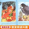 Programa de Leitura Integral de Férias de Inverno de 2026: 3 Volumes - Fábulas Chinesas Antigas e Fábulas de Esopo, 3º Ano, Segundo Semestre
