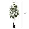 Amazon Planta Verde Enfeites de Vaso de Chão Interno Oliveira Decoração de Loja de Celebridade da Internet Combinação Oliveira Árvore Falsa