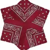 Pañuelo Cuadrado Pequeño para Hombre con Estampado Paisley 100% Algodón Puro Protección para el Cuello al Aire Libre Ciclismo Hip-Hop Protección Solar