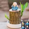 Dropshipping Madera Brasileña Hombre Árbol Groot Floración Cultura del Agua Madera de la Suerte Interior Fácil de Cultivar Florales Perezosos Mini