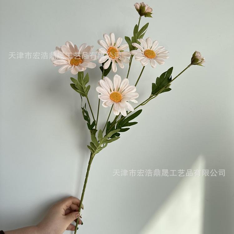 微信图片_202303151641296_副本