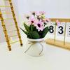 Nuevo 15 cuencos de maceta con borde de margarita pequeña modernos creativos simples frescos decoración del hogar flores artificiales falsas