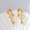Nuevos Aretes Personalizados de Estilo Coreano Transfronterizo para Mujer Aretes de Acero Inoxidable Aretes Galvanizados Joyería de Alta Gama para Hombre Fabricante Venta al por Mayor