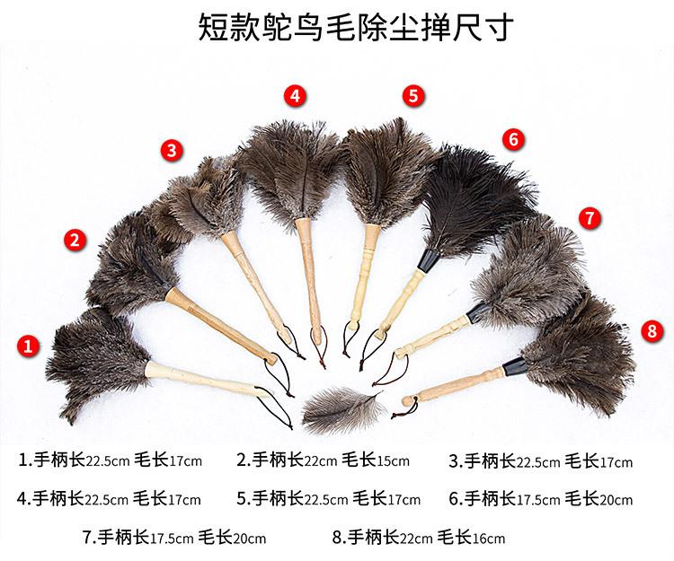 短掸子1_09.jpg