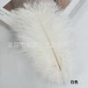 25-30cm Pena de Avestruz Popular Foto Colorida Pena de Avestruz Decoração de Casamento Material de Pena Real Parede de Fundo