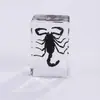 Especímenes Delgados de Insectos Reales, Adornos de Escritorio de Animales Reales, Escorpiones, Tortugas Doradas, Cigarras, Materiales Didácticos para Niños, Manualidades de Resina