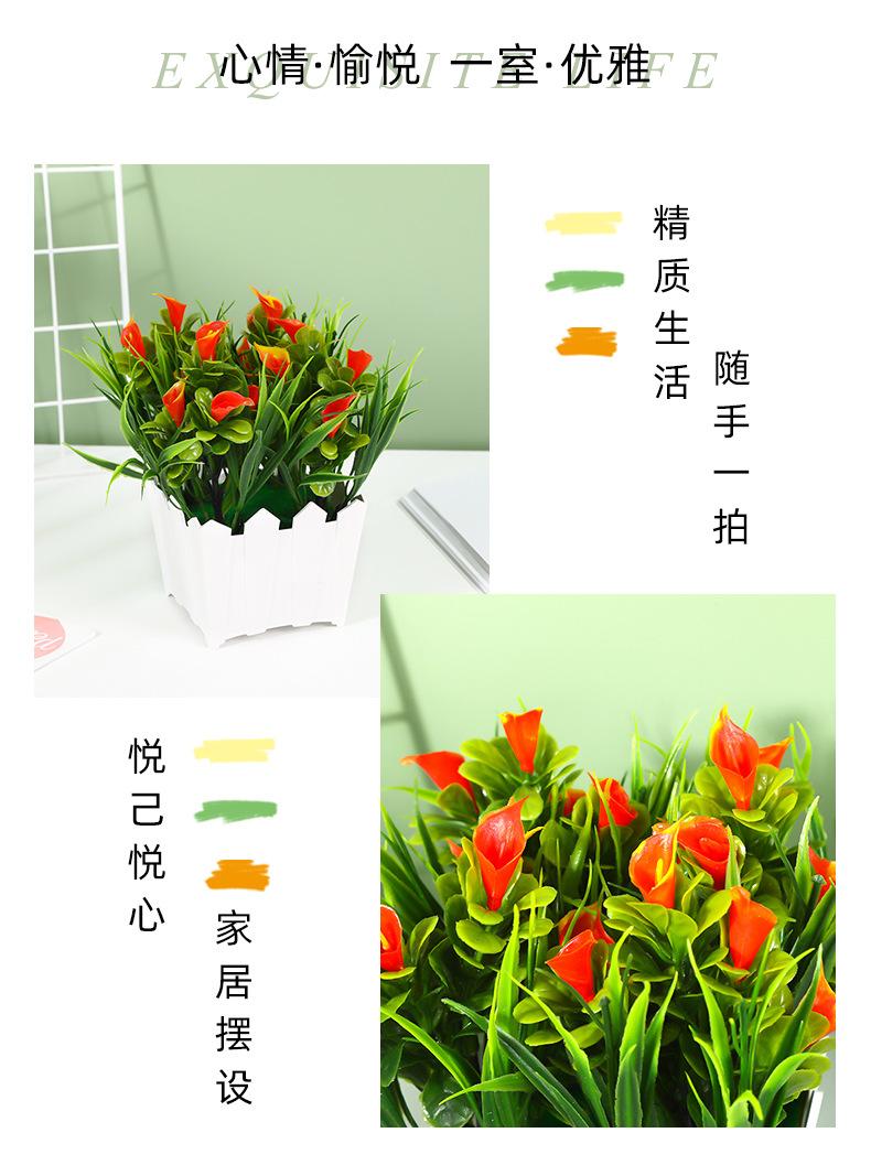 保侬详情_02.jpg