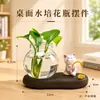 Novo ornamento de pesca de gato para decoração de mesa de escritório, garrafa de vidro hidropônico, presente criativo, pequeno ornamento de mesa