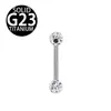 Amazon Venta al por mayor transfronteriza Joyería para perforaciones de bola completa con recubrimiento de aleación de titanio G23 Stud para lengua Anillo para pezón Anillo para lengua