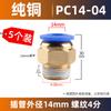 Conector rápido para tubería de gas, conector rápido neumático, fuente de aire, rosca PC8-02, paso recto PC 10-03/12/6/4/M5