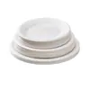 Comercio Exterior Transfronterizo Platos Desechables Platos Platos para Comida Barbacoa Cuadrado Oval Comercial Picnic Platos de Papel Anillo