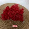 Pequeno Saco de Musgo 10g Flor Real Planta Parede Paisagismo DIY Pacote de Material de Flor Seca Musgo de Rena Fabricante de Yunnan