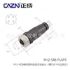 Conector Impermeável Tipo Parafuso de Montagem Zhengcheng M12, 2 Pinos, Codificado 3 4D5B, Plugue de Aviação Reto e Angulado