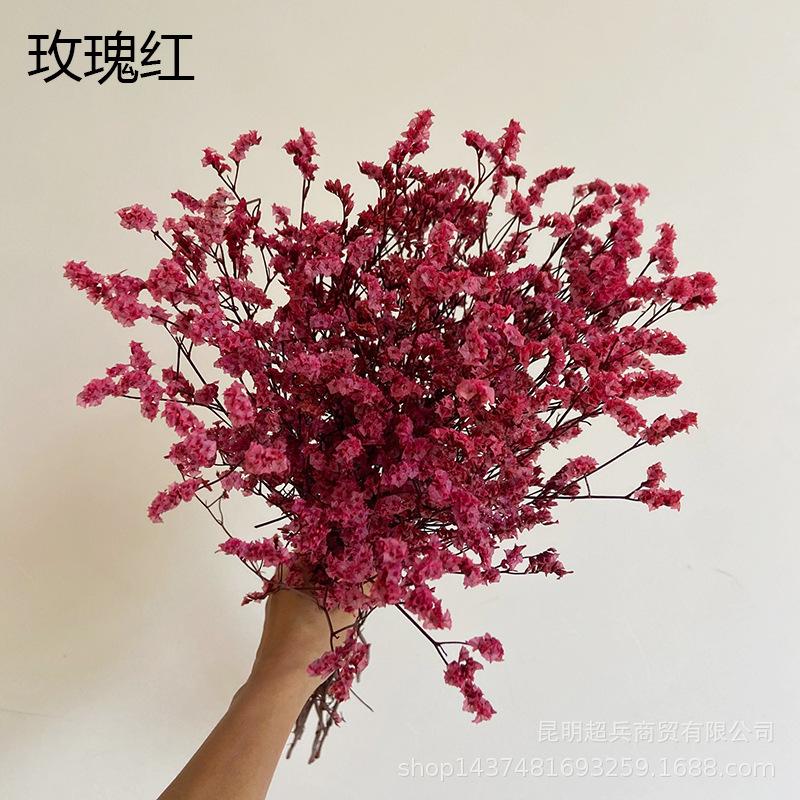 QQ图片20210922135941.jpg