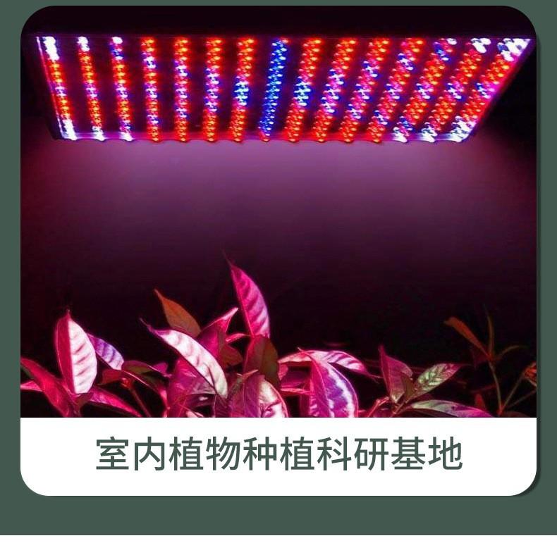 17257844675_702480767