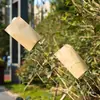 Saco de Sementes de Papel de Embalagem Marrom, Saco para Cruzamento de Trigo, Saco para Imersão de Arroz, Saco para Armazenamento de Colza, Saco para Amostragem de Sementes de Milho