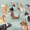 Origami Geométrico Creativo DIY Transfronterizo Gato, Perro, Dragón Animales Plegables Hechos a Mano para Niños Origami 50 Hojas en Varios Estilos