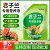 Solución nutritiva para Clivia para promover los tallos florales, solución nutritiva para promover los tallos florales, prevenir las hojas amarillas, solución nutritiva especial para floración rápida, no requiere dilución