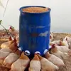 Alimentador Automático para Patos, Gansos y Pollos, Dispositivo de Alimentación para Aves de Corral