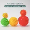 Bola de Massagem Equipamento Tátil Auxílios de Ensino para Bebês Escova Sensorial Brinquedo de Treinamento Sensorial Infantil Educação Infantil Bola Pequena Espinhosa Bola de Tocar