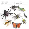 Simulación Transfronteriza Modelo de Araña Real Unicornio Insecto Juguetes para Niños Mariposa Abeja Adornos de Animales
