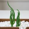 Planta Suculenta Mini Atacado Cabeça de Flor Artificial Pequenos Acessórios para Arranjo de Flores Suculenta Falsa Flor de Plástico Planta Decorativa Planta em Vaso
