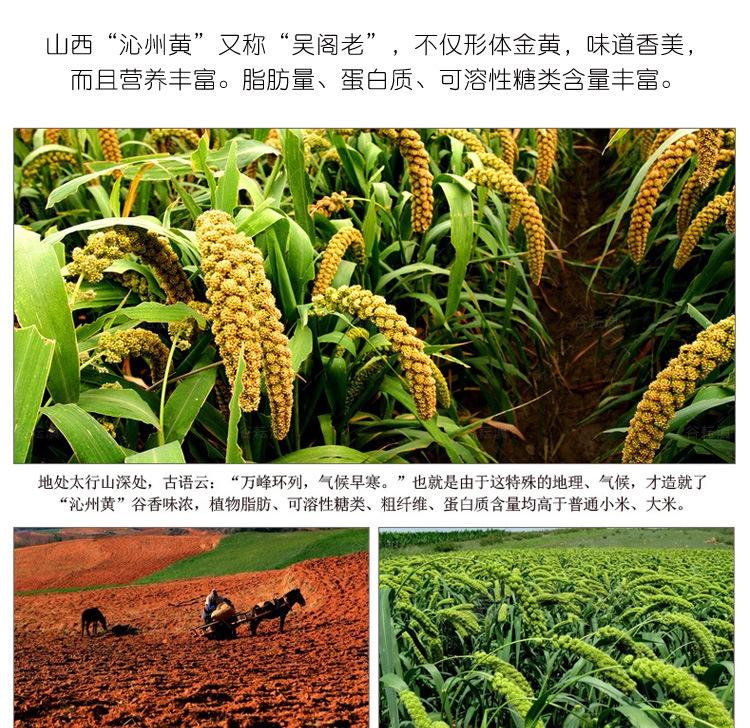小米描述优化_10.jpg
