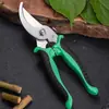 Tesoura de Florista de Aço Inoxidável Tesouras para Folhagens Ferramentas de Jardim Bico de Pássaro Tesouras de Poda Tesouras para Colher Frutas e Vegetais Fabricante Atacado