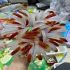 Xiamen Atacado Pulseira de Ágata Mais Vendida 11mm Ágata Gelo Doce Vermelha Pulseira de Calcedônia Joias Direto do Fabricante