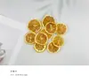 Pinha Chips de Madeira Folhas Flores Secas Frutas Secas Conjunto Combinado Decoração Criação de Ambiente para Jardim de Infância Pequenos Enfeites Adereços para Fotografia Retro