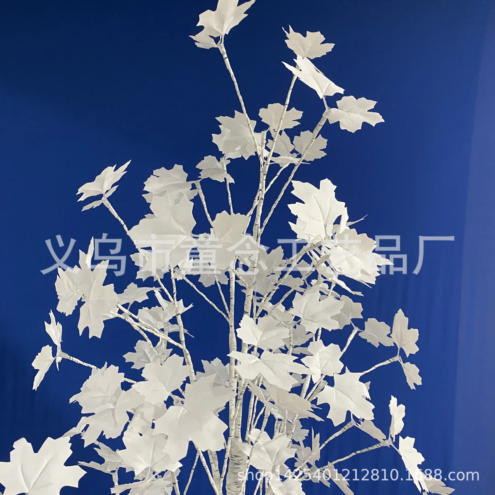 IMG-5 (8)