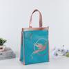 Bolsa Térmica Personalizada Papel de Aluminio Plegable Velcro Bolsa para Mariscos Refrigerada Espesada Bolsa para Llevar Bolsa Térmica para Pasteles