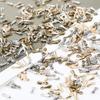 Corrente de Cauda de Liga Pingente Gota d'Água Corrente de Extensão Pulseira DIY Feita à Mão Colar Fabricação de Pingente de Cauda Grampo de Cabelo Materiais de Joalheria Acessórios