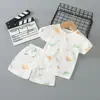 Roupas com Ar Condicionado para Meninos, Conjuntos de Verão de Manga Curta, Pijamas Finos de Algodão Puro, Shorts Infantis para Meninas, Roupas de Verão para Bebês, Bebê