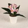 Sensación en la mano mini bonsái de phalaenopsis flor artificial bonsái de orquídea artificial decoración de escritorio cymbidium artificial flor artificial