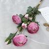 Novo produto simulação cartas manuscritas lasanha lasanha lasanha 2 estúdio de casamento layout do hotel manual flor decoração de mesa simulação flor