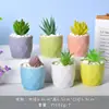 Atacado do Fabricante Vasos de Flores de Cerâmica Simples Nórdicos Vasos de Flores para Suculentas Criativos Mini Respiráveis Combinação de Plantas Verdes Suculentas Plantas em Vasos