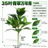 Plantas Artificiales Hojas Verdes Ramas Hojas de Colores Plantas Verdes Falsas Accesorios de Bonsái Decoración Suave de Interior Proyecto de Decoración de Arreglo Floral Madera que Cambia de Color