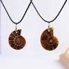 Colgante de caracol fósil de Madagascar natural, espécimen de mineral fósil de crisantemo, collar para niña, venta al por mayor